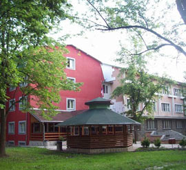 Dom učenika Kraljevo - Dom za učenike srednjih škola koji nemaju prebivalište na teritoriji grada Kraljeva.